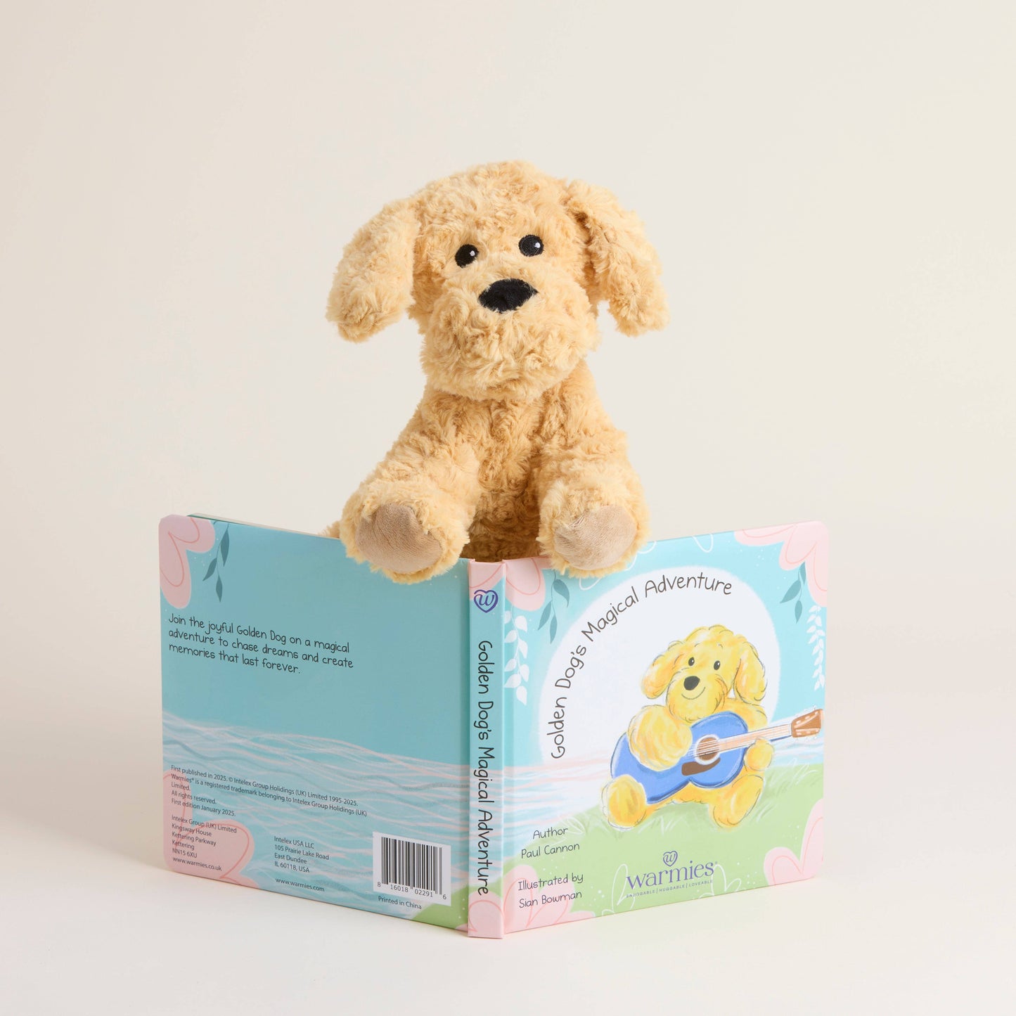 Golden Dog's Magical Adventure Board Book